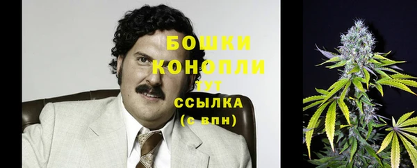 индика Верея