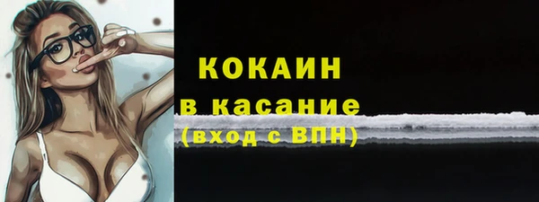 индика Верея