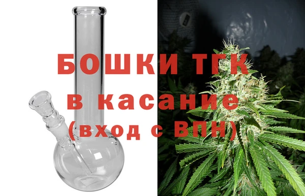 прущие грибы Бугульма