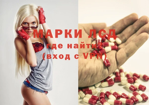 индика Верея