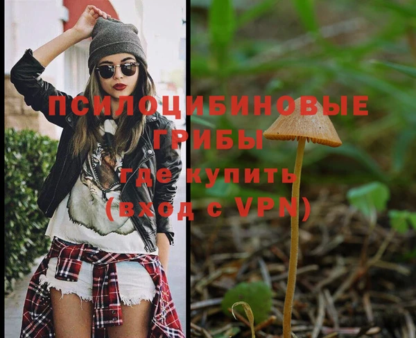 индика Верея