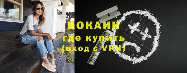 прущие грибы Бугульма