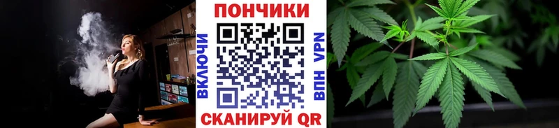 Бошки марихуана LSD WEED  даркнет сайт  Нальчик 